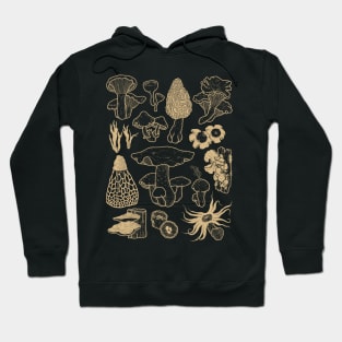 Shrooms 1 Hoodie